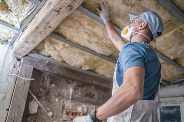 Best Energy Efficiency Solutions in Taylorsville, MS