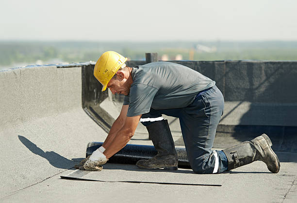 Best Specialty Insulation in Taylorsville, MS