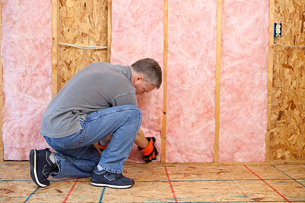 Best Insulation Installation Services in Taylorsville, MS