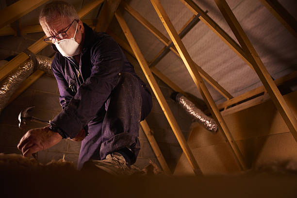 Best Insulation for Specific Applications in Taylorsville, MS
