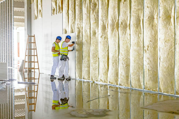 Best Insulation for Specific Applications in Taylorsville, MS